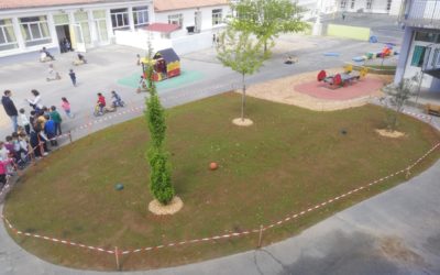 Un espace tout neuf et vert au cœur de l’école !