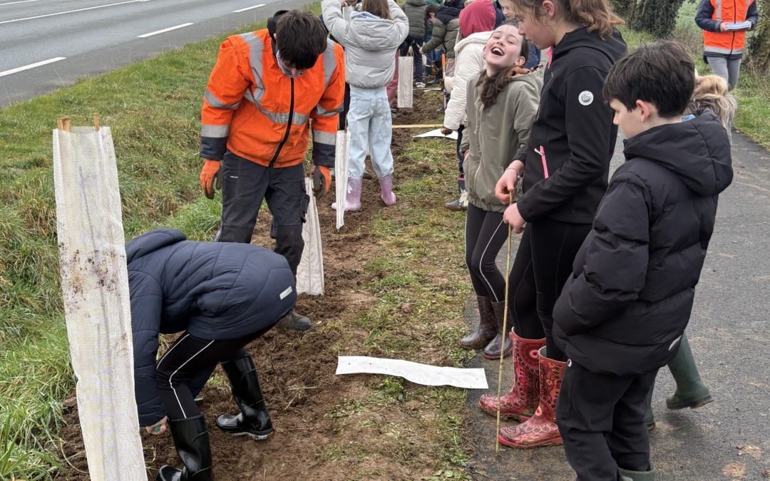 Je plante pour ma ville