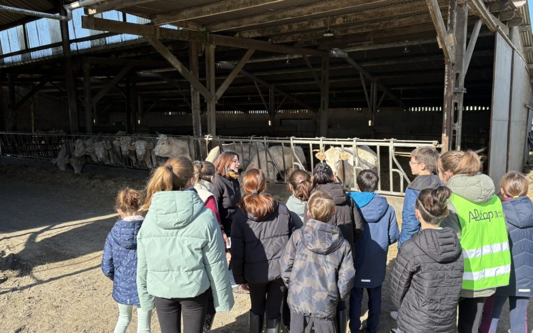 Visite d&rsquo;un élevage