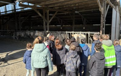 Visite d&rsquo;un élevage