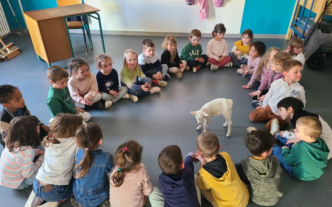 Une chevrette à l&rsquo;école !