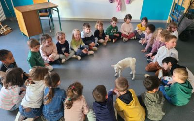 Une chevrette à l’école !