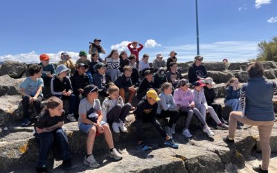 Les CMC et CMD au port du bec.